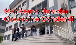 Şehir Dışından Gelen Hırsızlar Tutuklandı