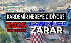 Kardemir 1.5 Milyar Zarar Açıkladı