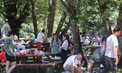 Bolu’da ‘ateşli piknik’ tamamen yasaklandı