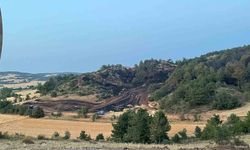 Bolu’daki orman yangını kontrol altına alındı