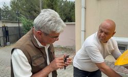 Karabük’te bitkin halde bulunan ebabil kuşu tedavi altına alındı