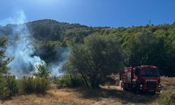 Kastamonu’da ormanlık alanda çıkan yangın büyümeden söndürüldü