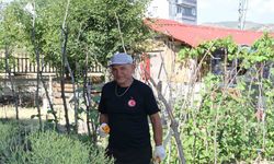 Şehir hayatından sıkıldı, mutluluğu köy hayatında buldu