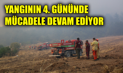 Sarp arazide helikopterle müdahale sürüyor