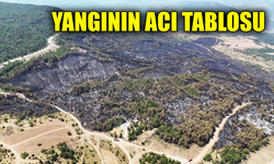 Karabük’te orman yangın 12 saatte kontrol altına alındı