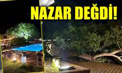 Asırlık sakız ağacının kopan dalı nazar değdi dedirtti
