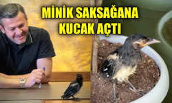Yangından kurtulan saksağan yavrusu belediyeye emanet