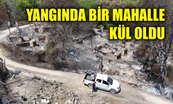 Orman yangınında köyün bir mahallesi yok oldu