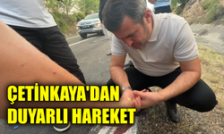 Çetinkaya dumandan etkilenen serçeye elleriyle su verdi