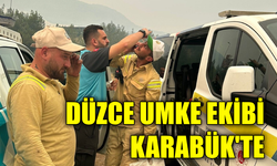 UMKE personeli Karabük yangını için sahada