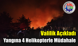 Yangına çok sayıda ekip ve araçla müdahale sürüyor