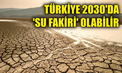 Türkiye çölleşme riskiyle karşı karşıya
