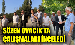 Ovacık Erkeç Köyü’nde asfalt çalışmaları devam ediyor