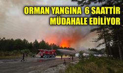 Karabük’te orman yangınına 6 saattir 116 araçla müdahale ediliyor