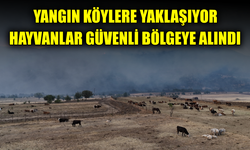 Üçbaşlar Köyü'nde çıkan yangında hayvanlar tahliye edildi