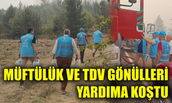 Mavi Yelekliler yangın bölgesindevatandaşların yanında