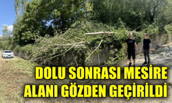 Başkan Cıva’dan mesire alanına geçmiş olsun ziyareti