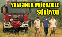 Karabük’te orman yangınına kararlı mücadele