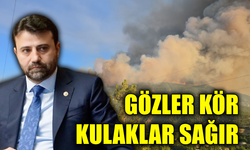 Karabük Milletvekili Cem Şahin sonunda patladı