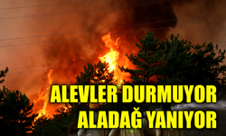 Kahyalar Köyü Yakınlarında Orman Yangını