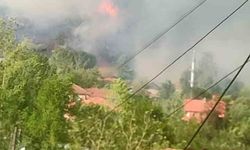Kayadibiçavuş Köyü Yakınlarında Orman Yangını