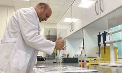 Beyin kanserine umut olacak yerli nano molekül geliştirildi