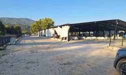 Bolu’da bıçaklı alacak-verecek kavgası: 1 yaralı