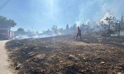 Bolu’da çalılık arazide çıkan yangın evlere sıçramadan söndürüldü