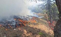Göynük’te Orman Yangınına Müdahale Sürüyor