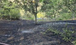 Bolu’da ot yangını ormana sıçramadan söndürüldü