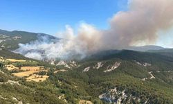 Bolu’daki orman yangınına müdahale sürüyor