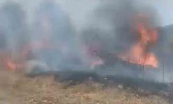 Karabük’te otluk alanda çıkan yangın korkuttu