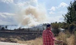 Kastamonu’da orman yangını kontrol altına alındı