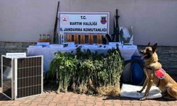Kurucaşile’deki operasyonda 1 kişi tutuklandı