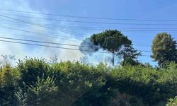 Ormanlık alanda çıkan yangın korkuttu