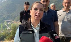 Vali Arslan’dan yangına ilişkin açıklama