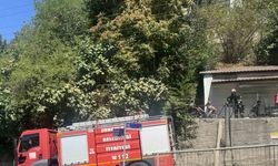 Zonguldak’ta ormanlık alanda çıkan yangın söndürüldü
