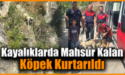 Kayalıkta mahsur kalan köpeği itfaiye ekipleri kurtardı