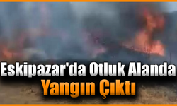 Karabük’te otluk alanda çıkan yangın korkuttu