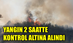 Karabük’teki orman yangını kontrol altına alındı