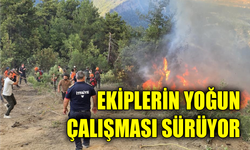 Rüzgarın etkisiyle yangına müdahale zorlaşıyor