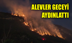 Orman yangınında 9 saat geride kaldı