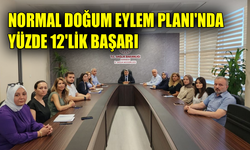 Karabük’te normal doğum eylem planı değerlendirildi