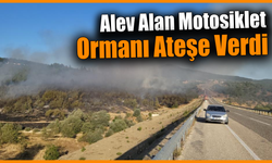 Eflani’de motosiklet yangını ormanı sardı!