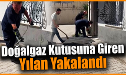Karabük’te doğalgaz kutusuna giren yılan yakalandı