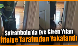 Karabük’te eve giren yılan yakalanarak doğaya salındı