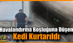Karabük’te havalandırmada mahsur kalan kedi kurtarıldı