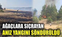 Karabük’te çıkan anız yangını kontrol altına alındı