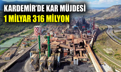 KARDEMİR yılın 2. çeyreğinde kar açıkladı