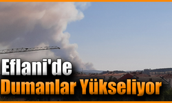 Karabük Eflani'de orman yangını